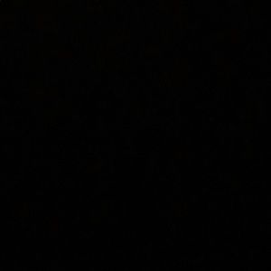 Meet your Posher, Larry